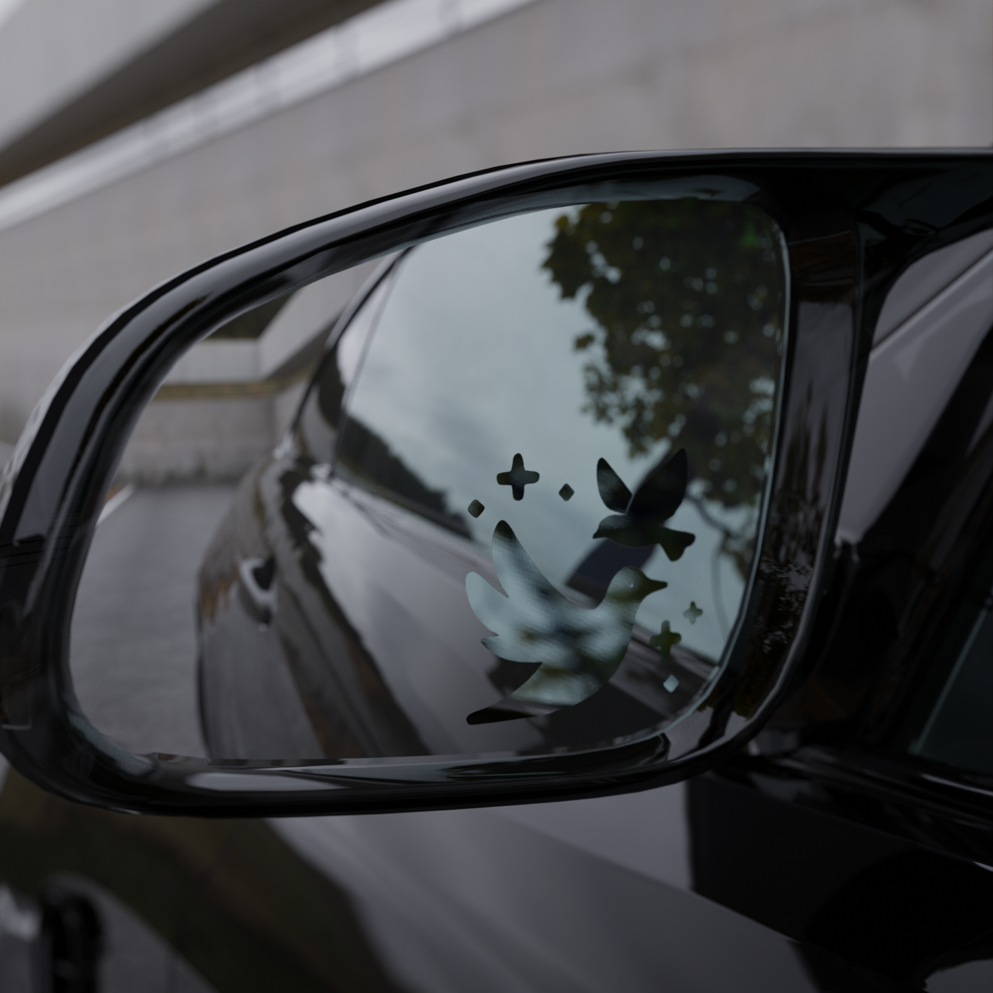 raven flight mirror