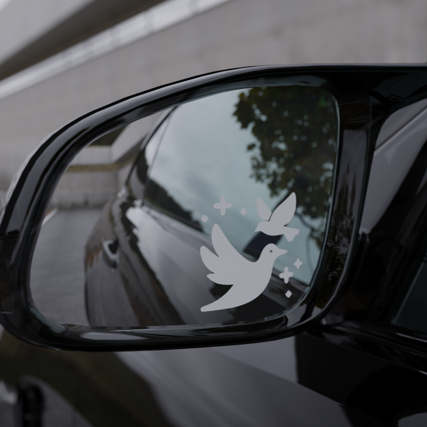 raven flight mirror