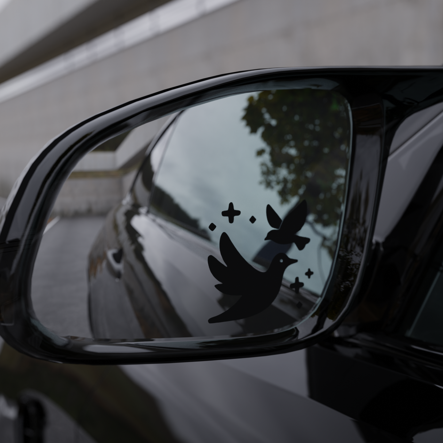 raven flight mirror