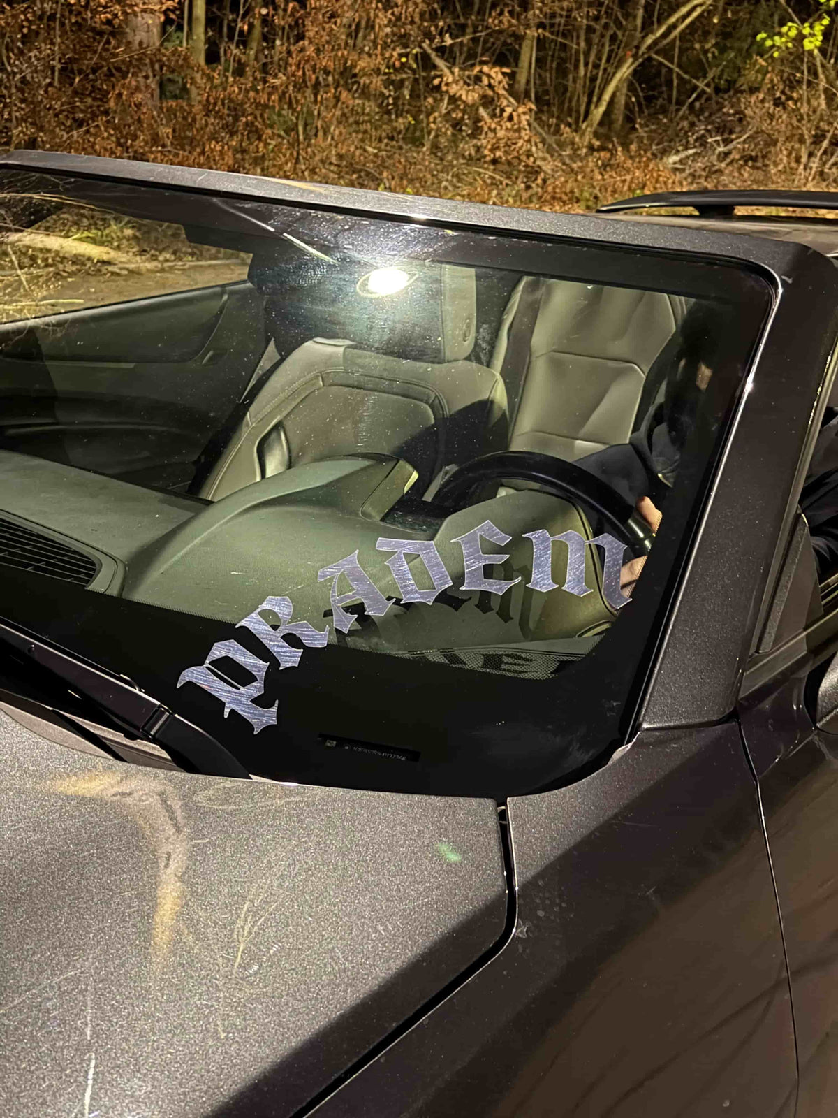 pradem front banner